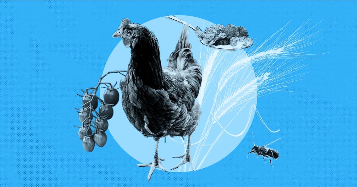 Stop Big Ag! Update + Action Call