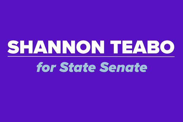 Teabo Campaign Canvass image