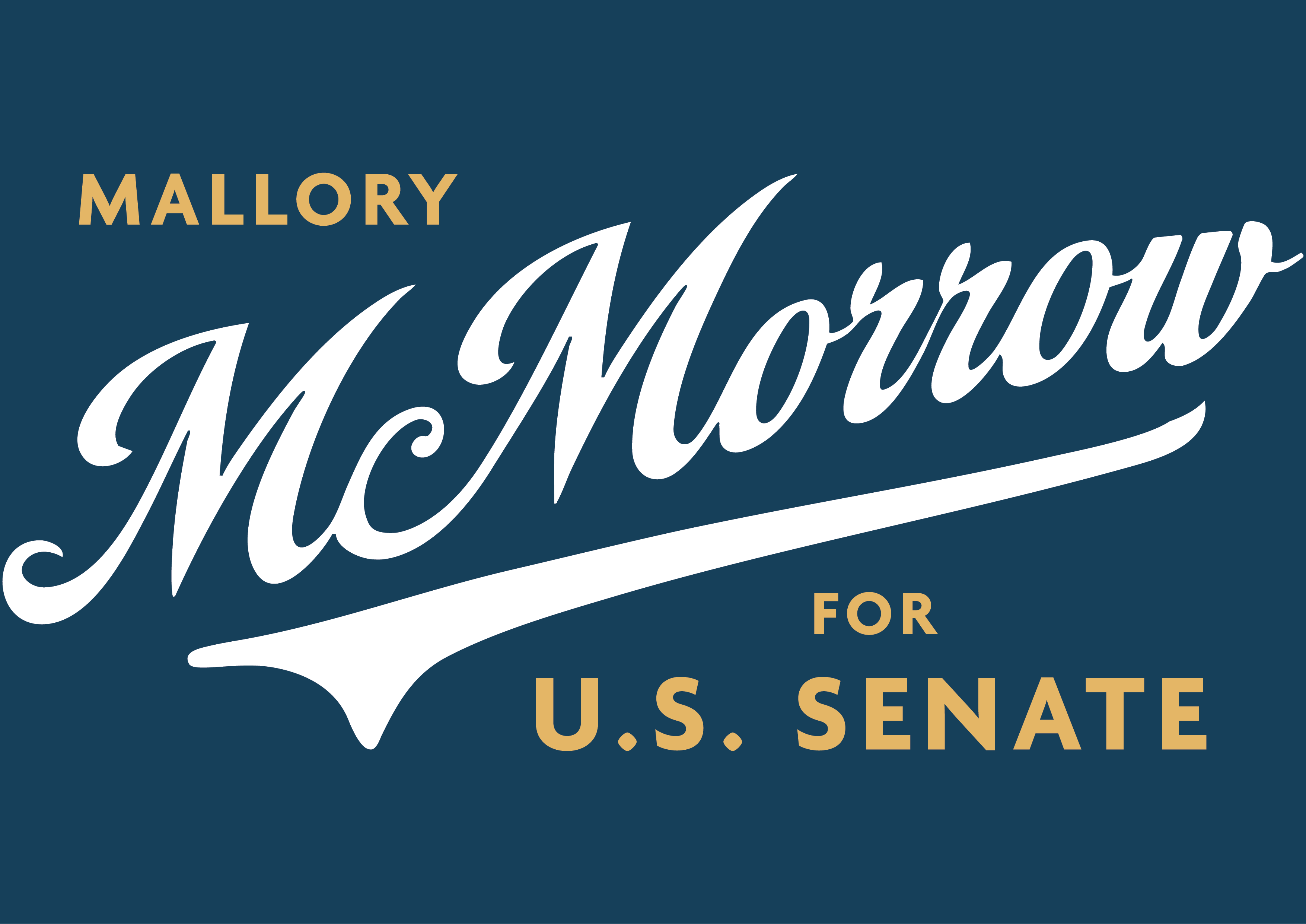 Ann Arbor Veteran's Park No Kings Rally Signature Gathering