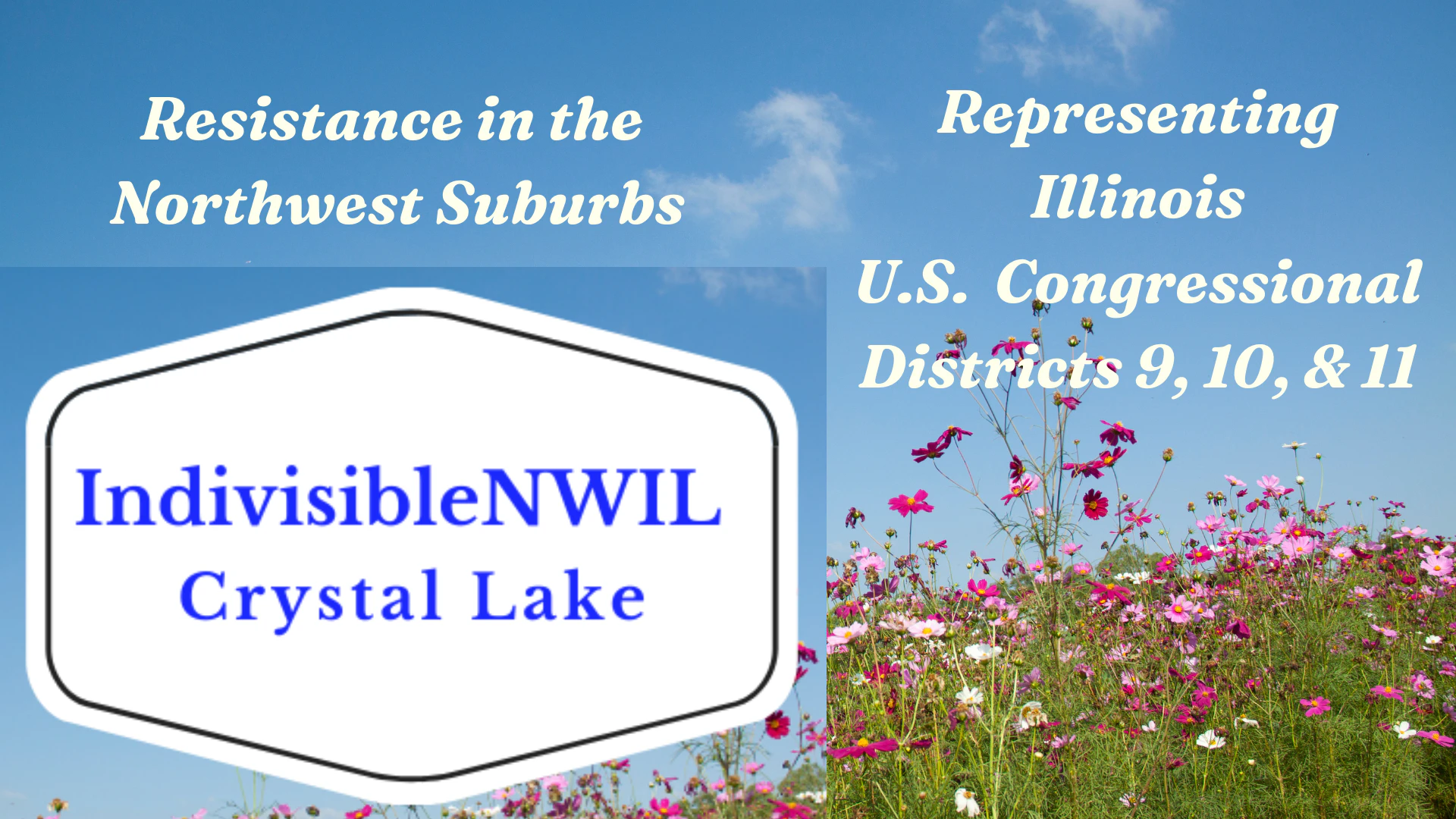 Volunteer Opportunities, Events, and Petitions Near Me · Indivisible ...