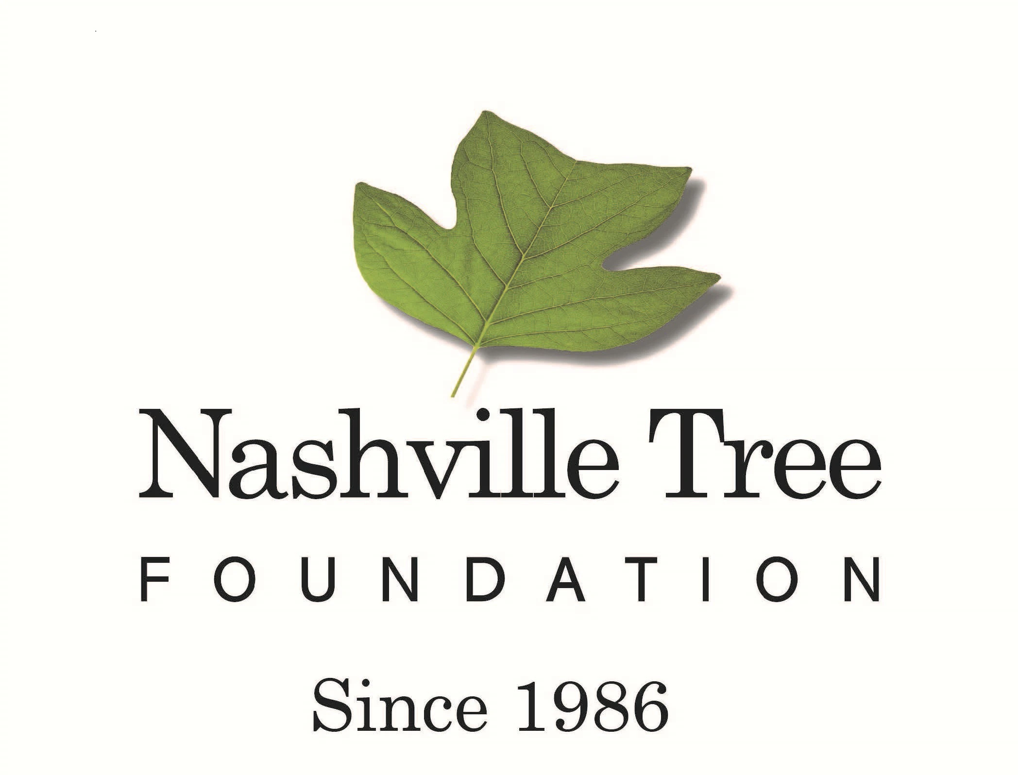 Volunteer Opportunities Events And Petitions Near Me Nashville Tree Volunteer Opportunities Events And Petitions Near Me Nashville Tree